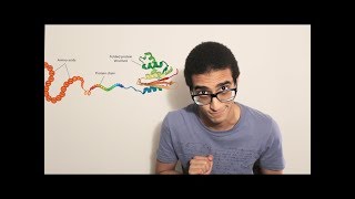 Protein synthesis Transcription and Translation [upl. by Hewet]