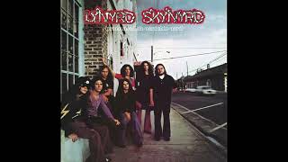 Lynyrd Skynyrd  Simple Man song audio [upl. by Ahtnicaj]