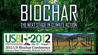 Biochar  The Next Stage In Climate Action [upl. by Ducan]