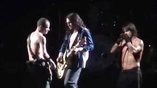 Red Hot Chili Peppers  Intro  Otherside LIVE [upl. by Aliak81]