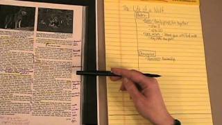 Creating Cornell Notes [upl. by Brena659]