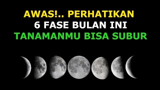 Biodynamic Pengaruh Fase Bulan Terhadap Pertumbuhan Tanaman [upl. by Atnahsal]