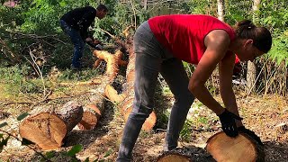 Clearing land What we do with piles of branches [upl. by Harlen570]