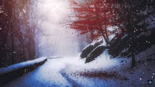 Soothing Winter Storm A Meditation Experience [upl. by Nevlin]