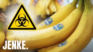 GiftBananen Krebserregende Pestizide gefährden Menschen  JENKE DAS FOODEXPERIMENT [upl. by Otsirave]