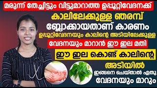 ഈ ഇല കൊണ്ട് കാലിന്റെ അടിയിൽ ഇങ്ങനെ ചെയ്താൽ ഏതു വേദനയും മാറും  kalinte adi vedana  Dr Juhi Das [upl. by Melinda]