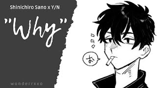 Oneshot Agnst 14 quotWhyquot Shinichiro Sano x YN [upl. by Minni]