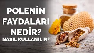 POLEN NASIL KULLANILIR Polenin Faydaları [upl. by Sabine]