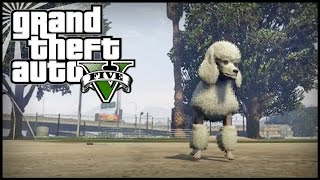 GTA 5 Next Gen  TWO Peyote Plant Locations 02 and 03  Peyote Plants Guide 327 Peyote Plants [upl. by Aztin]