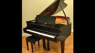 For Sale Petrof Model IV Grand Piano [upl. by Oilicec]