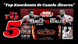 Canelo Álvarezs Most BRUTAL Knockouts in the Ring [upl. by Lika953]