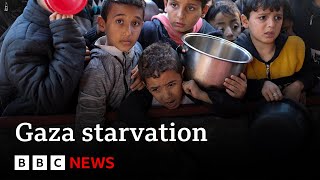 Evidence that Israel is using starvation as weapon of war in Gaza says UN  BBC News [upl. by Standish]