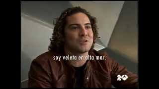 DAVID BISBAL UN AMOR QUE VIENE Y VA  Lyrics [upl. by Ginny]