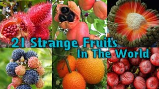 21 Strange Fruits In The World  Strange Fruits In The World  Strange Fruits [upl. by Leid]