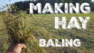 Making Hay  Baling Hay Into Square Bales [upl. by Acinelav]