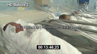 Newborn Babies  HD Stock Footage  Infant  HD Stock Videos  Hospital  Birth  Nursery [upl. by Barnebas]