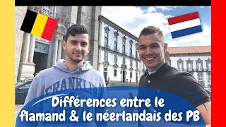 Apprendre le flamand  Les différences entre le flamand et le néerlandais des PaysBas [upl. by Still709]