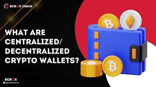 What are Centralized and Decentralized Crypto Wallets  Understanding Crypto Wallets wallet [upl. by Ecineg]