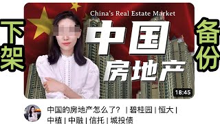 【小lin说下架】中国的房地产怎么了？碧桂园恒大中植中融信托城投债 [upl. by Silva]