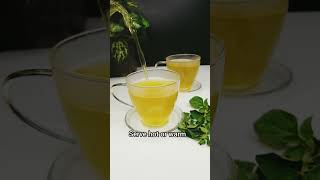 How To Make Oregano Tea Amazing Benefits Of Oregano Tea shorts short [upl. by Assennav]