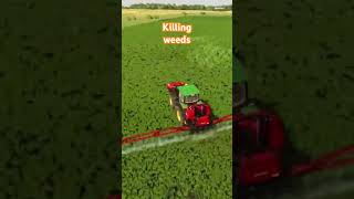 Herbicide spraying canola field ALMA Missouri Farming Simulator 22 [upl. by Sac]