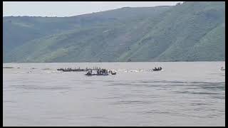 NAUFRAGE BALENIERE AU PORT DE MALUKU [upl. by Guinn]