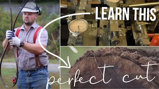 the secret to perfect bandsaw sharpening [upl. by Kerry]