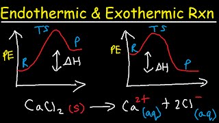 Endothermic and Exothermic Reactions [upl. by Nyrual780]