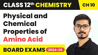 Physical and Chemical Properties of Amino Acid  Biomolecules  Class 12 Chemistry Chapter 10  CBSE [upl. by Origra253]