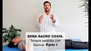 Zona Sacro Coxis Terapia asistida con Sacrus Parte I [upl. by Aubree]