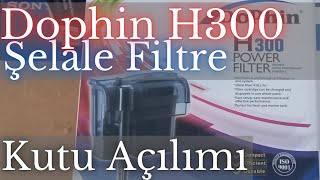 Dolphin H300 AskıampŞelale Filtre Kutu Açılımı [upl. by Zaremski]