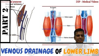 Anatomy  Venous Drainage of Lower Limb  Perforating vein  Made Easy by Dr Laxman Khanal  Part 2 [upl. by Godspeed]