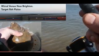 Plaice fishing  video 2  New Brighton Wirral Merseyside [upl. by Hatcher]