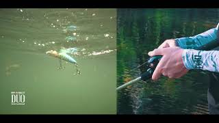 Lure Masterclass Realis FangPop  How To [upl. by Eiduj119]