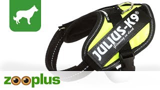 Leuchtendes Hundegeschirr  Julius K9 IDC® Powergeschirr  zooplus [upl. by Nelg]