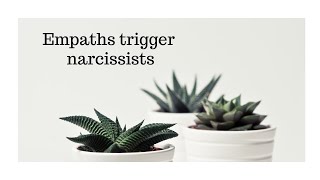 Why do narcissists get triggered by empaths [upl. by Gridley]