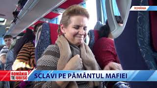 ROMÂNIA TE IUBESC  SCLAVI PE PĂMÂNTUL MAFIEI II [upl. by Farra]