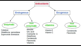 Classes of Antioxidants  Enzymatic Non enzymatic Phenolic Thiolic Carotenoids [upl. by Nylekoorb]