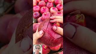 Buah pomedelima fruit buahbuahan shortvideo [upl. by Sonitnatsnok]