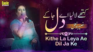 Kithe La Leya Ae Dil Ja Ke  Naseebo Lal  Eagle Stereo  HD Video [upl. by Sola]