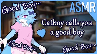 Furry ASMR 💙 Youre such a Good Boy M4MAffirmationsHeadpats [upl. by Larry]