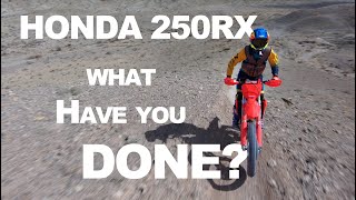 Honda what have you done here 2022 CRF250RX seen like never before [upl. by Ettenrahs]