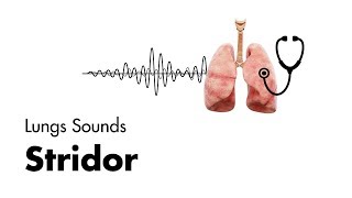 Stridor  Lung Sounds  MEDZCOOL [upl. by Miltie]