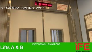 HDB Block 893A Tampines  IFE Elevator [upl. by Einon]