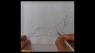 Cómo dibujar una LIEBRE  How to draw a HARE [upl. by Jamesy182]