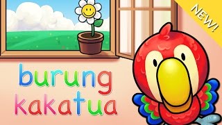 Lagu anak Indonesia  Burung Kakatua [upl. by Amilas]