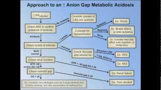 Elevated Anion Gap Metabolic Acidoses  Abridged Understanding ABGs  Lecture 8 [upl. by Brana]