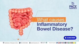 IBD Main causes  What causes Inflammatory Bowel Disease  ibd [upl. by Iddo]