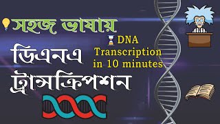 DNA Transcription  ডিএনএ ট্রান্সক্রিপশনের সারকথা  DNA to mRNA  HSC Biology  Admission [upl. by Lanahtan]