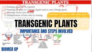 Transgenic plants  Importance and steps involved [upl. by Bonney357]